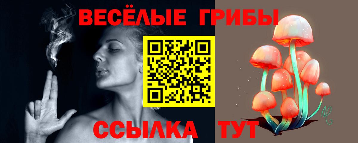 Псилоцибиновые грибы Psilocybe  Вход с VPN  Псилоцибиновые грибы мицелий  Куйбышев 